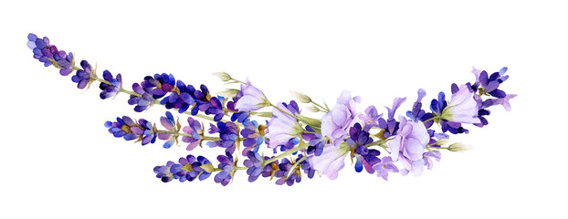 Picturesque arrangement of lavender and bluebells hand drawn in watercolor isolated on a white background. Floral watercolor illustration. Ideal for creating invitations, greeting and wedding cards. - obrazy, fototapety, plakaty