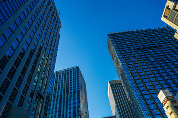 Obraz premium 新宿のビル群と秋の空