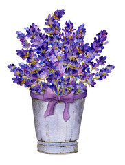 Rich bouquet of lavender in the basket with a bow hand drawn in watercolor isolated on a white background. Provence watercolor illustration. Ideal for creating invitations, greeting cards.  © Tatiana