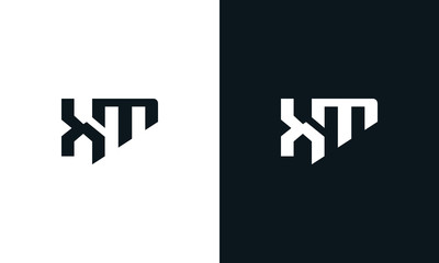 Modern abstract letter XT logo. This logo icon incorporate with two abstract shape in the creative process.