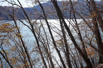 中禅寺湖