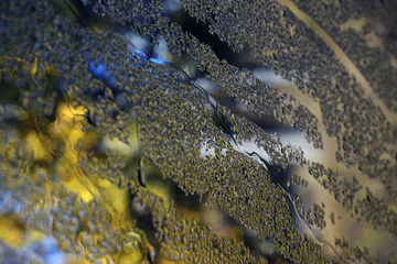 ice, nacka sweden, stockholm