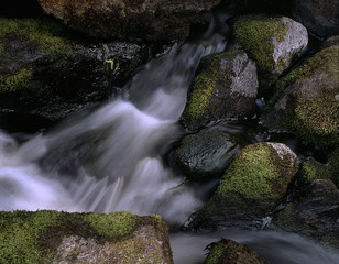 waterfall in forest, nacka, stockholm, sverige, sweden