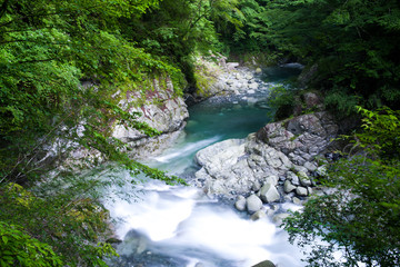 美しい河川