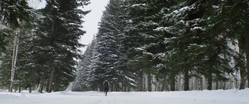 Unrecognizable young man in orange sneakers runs along flat snowy wide road in coniferous forestr. Winter sport, wild land, training outdoor. Anamorphic wide shot