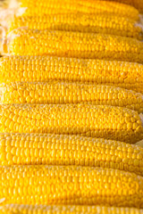 Corn cobs shot close up for cooking in the kitchen.