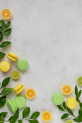 colorful macarons with green branches, slices of lemon, lime. white background. flat lay, copy space
