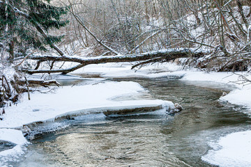 Almost frozen river in forest  after fresh snow with broked tree  fallen across a riverbed.