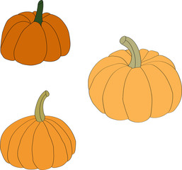 Pumpkins set