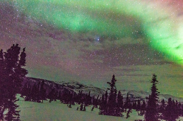 dancing aurora above Chena Springs Alaska