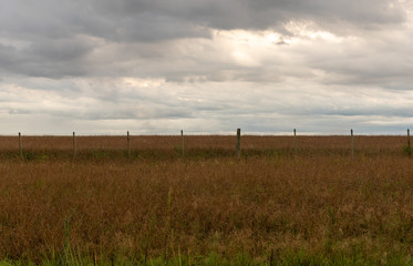 Fototapeta premium Rural landscape in cloudy and rainy day9