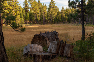 Lake Tahoe