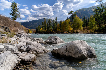 Fototapeta na wymiar Rocky shore of a mountain river, autumn Altai.