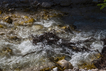 Fototapeta premium Alto Adige Autumn sunny day nature outdoor
