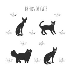 Fototapeta na wymiar Set icons cartoon style of cat breeds. Simple silhouettes of characters for different design.