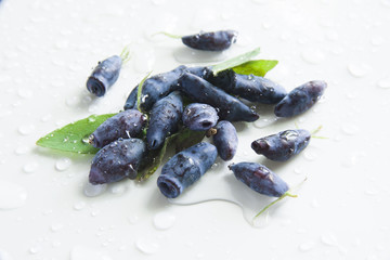 berries honeysuckle on water on white background