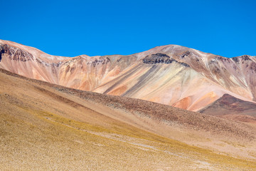 The Laguna colorada in Bolivia