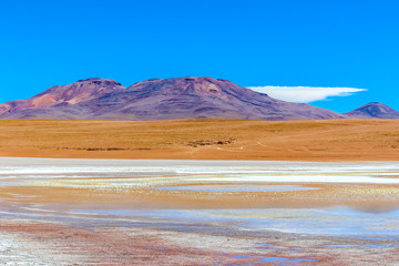 The Laguna colorada in Bolivia