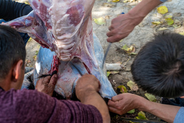 Cutting the RAM in the open air