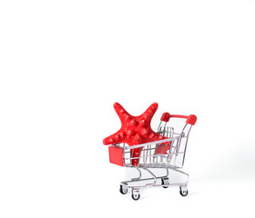 Shopping cart with red seashell on white background
