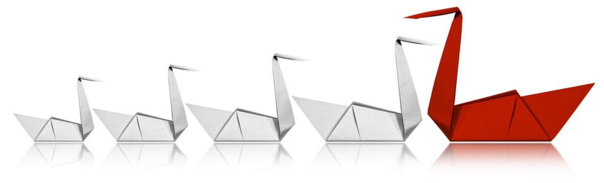 Leadership Concept - Paper Swans Isolated On White Background