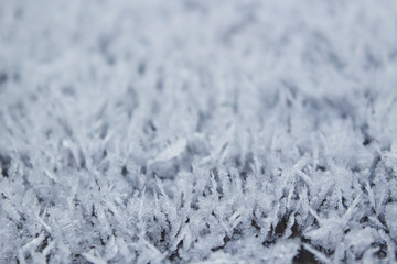 Snow cover on the wooden surface.
