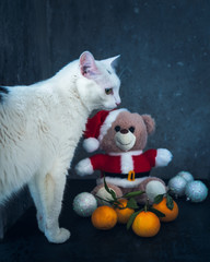 New Year card with a toy bear dressed as Santa Claus and a white gag