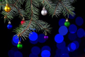 Fir tree branch with colored glass balls on a black background.