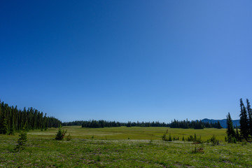 Grand Prairie Mt Rainier