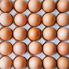 Healthy organic food, Ingredient protein breakfast, Fresh brown chicken eggs with center selective focus and blurred surrounding in paper tray pattern background