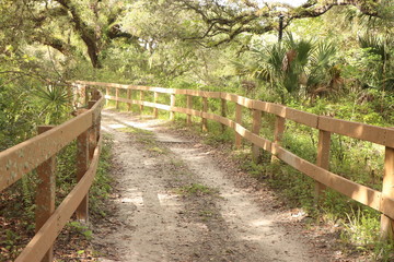 wooden bridge in the forest