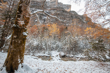 Ordesa National Valley in snowy autumn, located in Pyrenees Spain