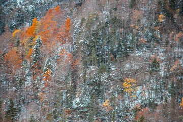 Ordesa National Valley in snowy autumn, located in Pyrenees Spain