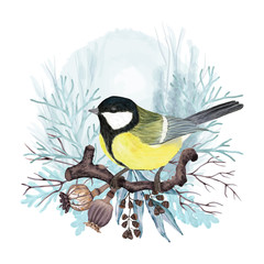 Winter Bird on branch