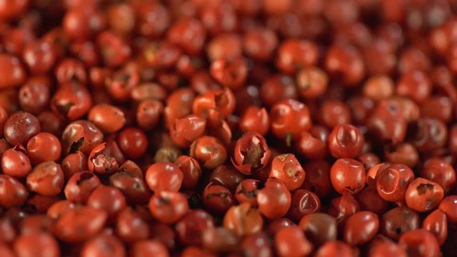 Food spices pink peppercorns red pepper Himalayan pepper berries. concept of fresh and dietary spices for cooking schools vegans and dietary products.