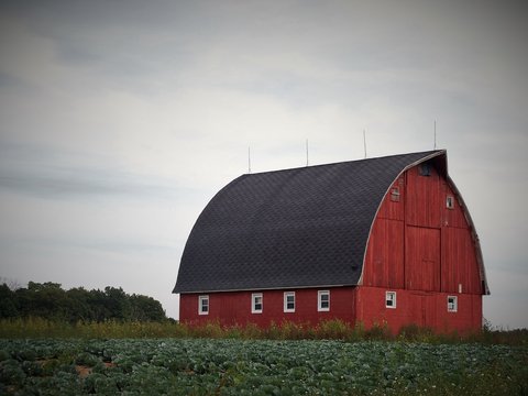 Quaint Red Barn in Rural Wisconsin
