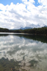 Reflections On Herbert Lake, Banff National Park, Alberta