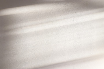 background of organic shadow over white textured wall