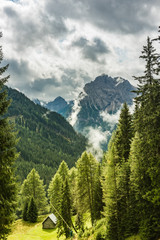 Mountain landscape of Dolomites mountains, Pine forest, dramatic sky, Italy