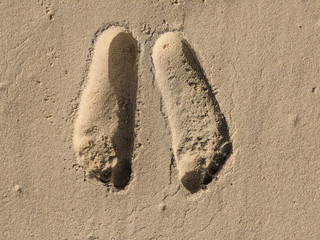 Texture Background of Human Feet Prints