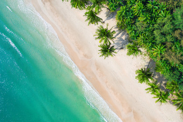 Aerial view beach with coconat palm trees and beautiful blue sea