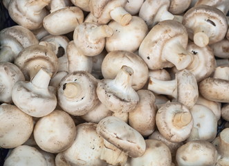 Many champignon mushrooms on  counter in the market.