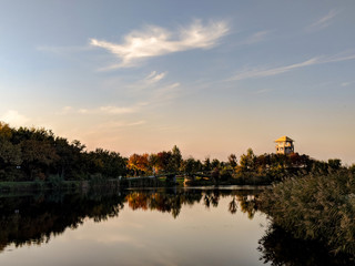 Forest lake at sunset