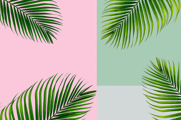 Fototapeta na wymiar Creative flat lay top view of green tropical palm leaves millennial pink paper background with pineapples copy space. Minimal tropical palm leaf plants summer concept template for your text or design