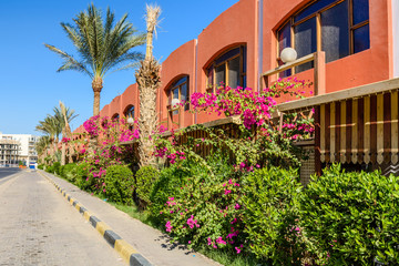 View of the street in Hurghada, Egypt