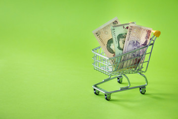 Miniature shopping trolley with Argentinian money. The concept of shopping and the power of the economy. Place for text
