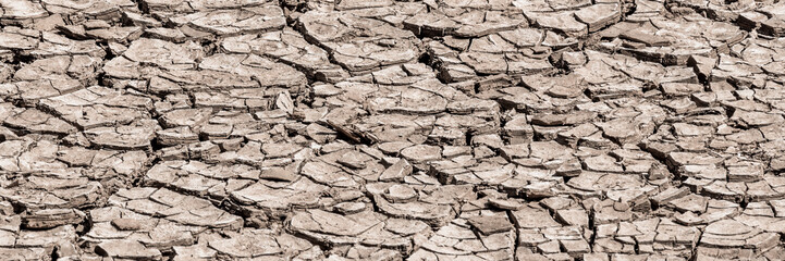 Cracked dry earth at the bottom of the pond