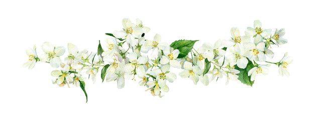 Watercolor composition of jasmine flowers - obrazy, fototapety, plakaty