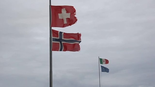 Bandiere di vari stati mosse dal vento in un giorno di inverno.