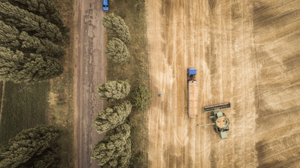 Aerial view of a combine unloads grain from grain compartment into a truck. One truck drove off and the next truck drove up to receive wheat grains.